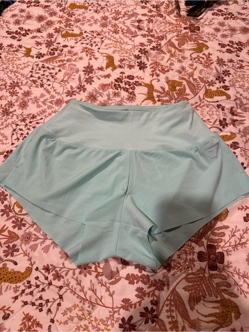 Aqua Gymshark shorts